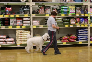 photograph by PeteerW